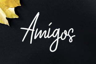 Amigos: Strategic Typography for Authentic Brand Communication
