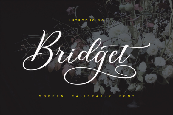 Bridget Script: Modern Calligraphy for Creative Projects