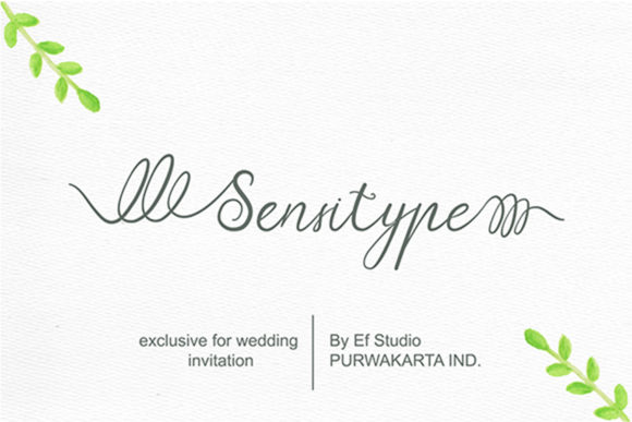 Elevating Digital Design with Sensitype: The Intersection of Handwritten Script and Modern Branding