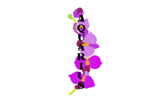 Floral Aquarius: Creative Applications for the Water Bearer Aesthetic