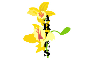 Floral Aries: Versatile Design Files for Every Creator