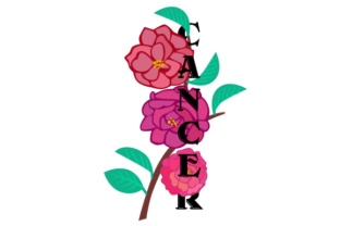 Floral Cancer: Navigating Design Assets, Industry Terminology, and Creative Workflows