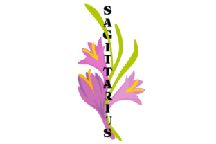 Floral Sagittarius: Versatile Design Assets for Creative and Commercial Projects